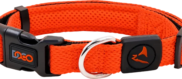 Dca102 0004 DCA102 Safety Orange 693x.webp